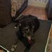 Adam Witchell - Facebook