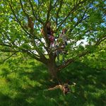 Adam Wray-Summerson - @adamwrays - Instagram