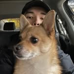 Adam Wu - @adamwu_ - Instagram