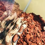 Adam Wyeth🐍🐍🐍 - @adam_wyeth1210 - Instagram