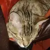 Adam - @adamyacker - TikTok