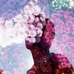 李诩 - @adam_yi - Instagram