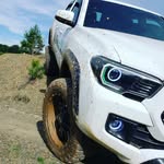 Adam Yohn - @white_knight_tacoma - Instagram