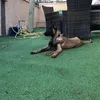 adam yonis - @adam.yonis1 - TikTok