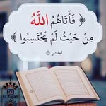 Om Adam Yonis - @nosaagalal - Instagram