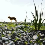 Yonis Adam - @adam_yonis0110 - Instagram