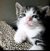 Adam Yoon - Facebook