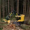 PNW TreeKiller - @adam.zepp - TikTok