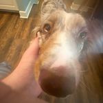Adam Zimmer - @adamzimmmmmm - Instagram