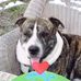 Heather Adams - Facebook