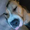 Heather Adams - @heather.adams26 - TikTok