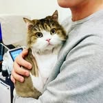 adams michael - @hyun__2221 - Instagram