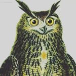 Adams Williams - @adamswilliams4673 - Instagram