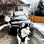 Adan Avila - @adan.avila.902 - Instagram