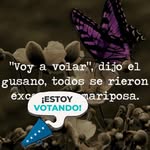 Adan Avila - @adanavilachavez - Instagram