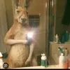 Adan Calderon - @adancalderon43 - TikTok