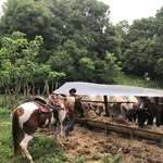 Adan Gutiérrez - @adan_g02 - Instagram