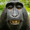 Adan Medina - @adan.medina40 - TikTok
