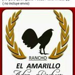 adan pacheco - @adan.pacheco.1656 - Instagram