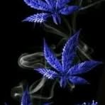 Adan Solis - Facebook