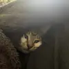 Adan Solis - @adan.solis21 - TikTok