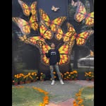 Adan Torres - @adant_orres - Instagram