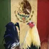 AdánVilla🤠🦅🇲🇽 - @adan.villa12 - TikTok
