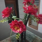 adarsh murthy - @adarshmurthy2 - Instagram