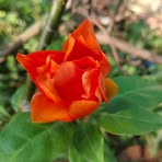Adarsh Rao - Facebook