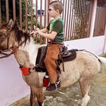 Adauto Neto - @adauto.neto_ - Instagram