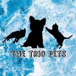The Trio Pets - @bailey.baxter.addie - Instagram