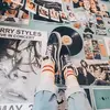 addie - @addiebeal - TikTok