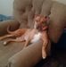 Addie Casey - Facebook