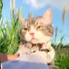 Jeremiah - @addie.casey33 - TikTok
