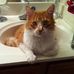 Addie Mueller - Facebook