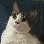Maddie - @maddie.mueller.music - Instagram