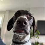 Addie - @addie_wright_ - Instagram