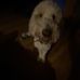 Addison Arnold - Facebook