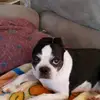addisonarnold - @addisonarnold50 - TikTok