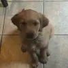 addison.arnold - @addison.arnold - TikTok