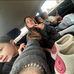 Addyson Brewer - Facebook