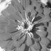 Addison Brooke Photography - Facebook