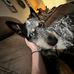 Addison Bryan - Facebook