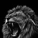 Addison Bryant - Facebook