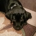 Addison Bryant Basore - @addison_bryant17 - Instagram