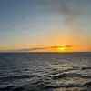Addison - @addison.buchanan - TikTok