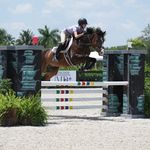 addison buckley - @addison.buckley.eq - Instagram
