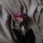 Addison call - @call.addison - Instagram