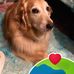 Allison. K Call - Facebook