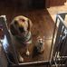 Addison Capps - Facebook